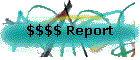 $$$$ Report