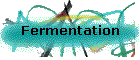 Fermentation